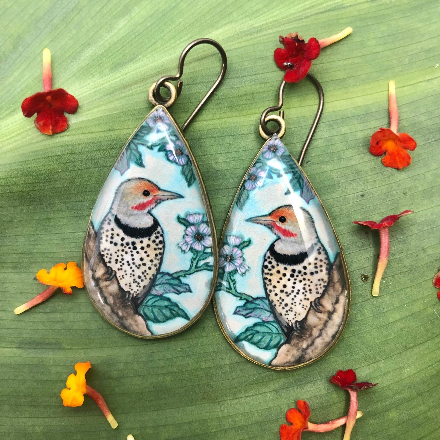 Northern Flicker Earrings