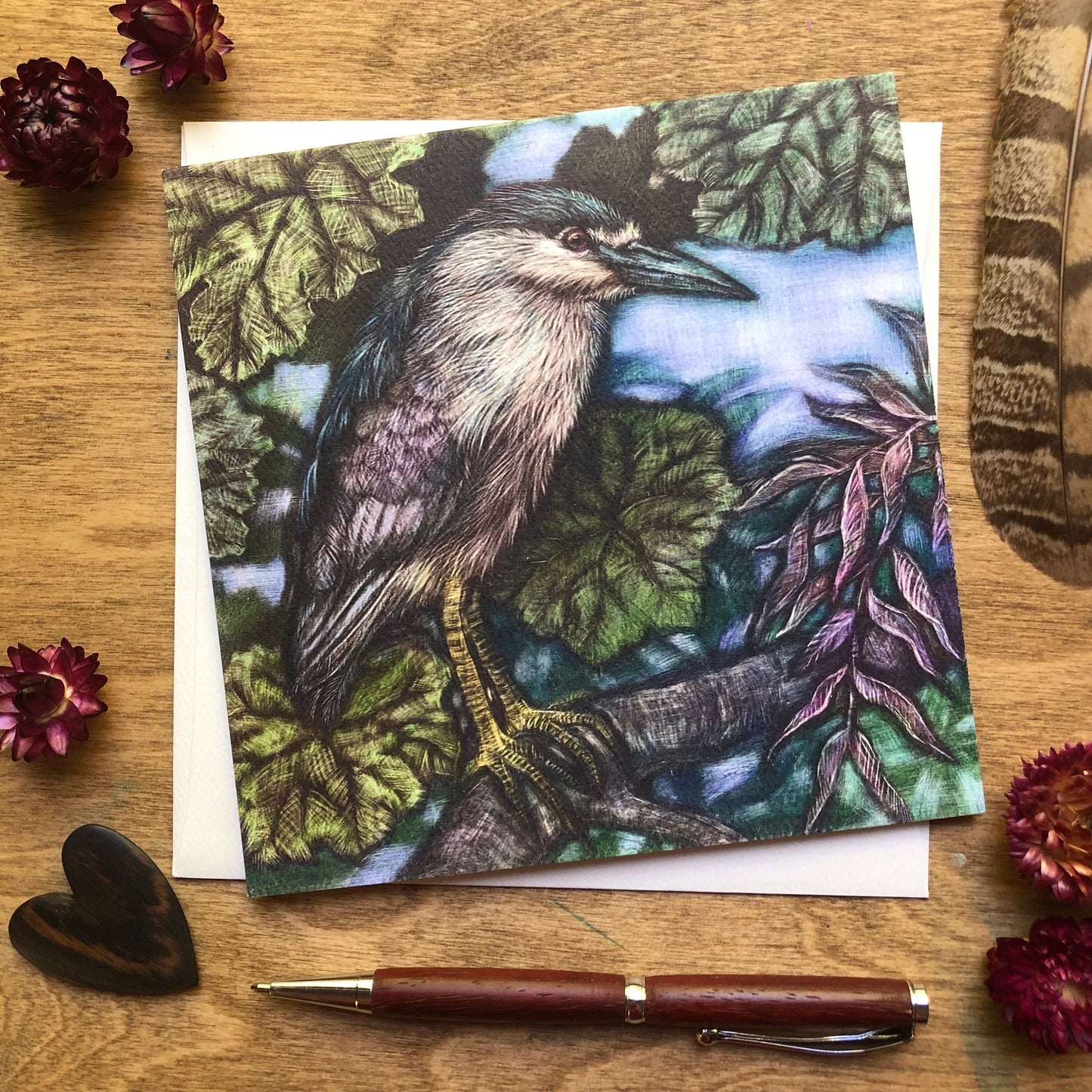 A Black-crowned Night Heron Greeting Card