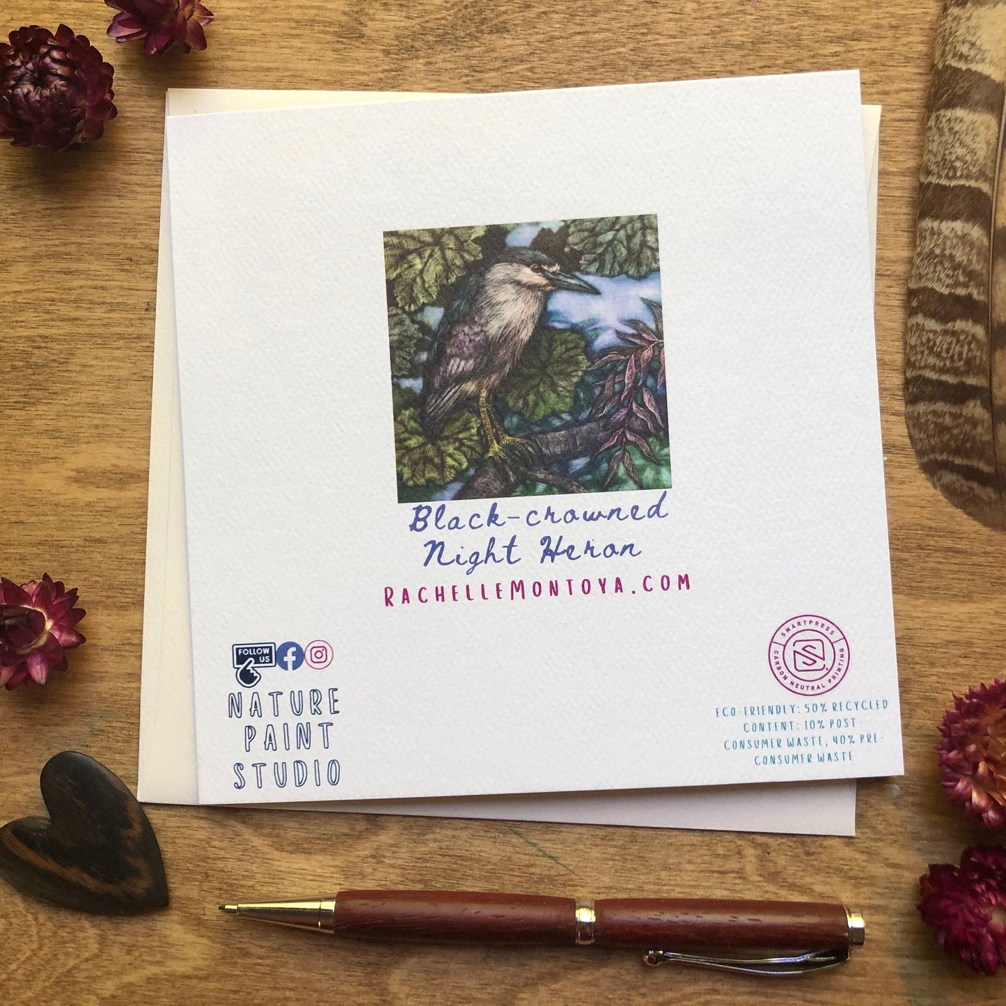 A Black-crowned Night Heron Greeting Card