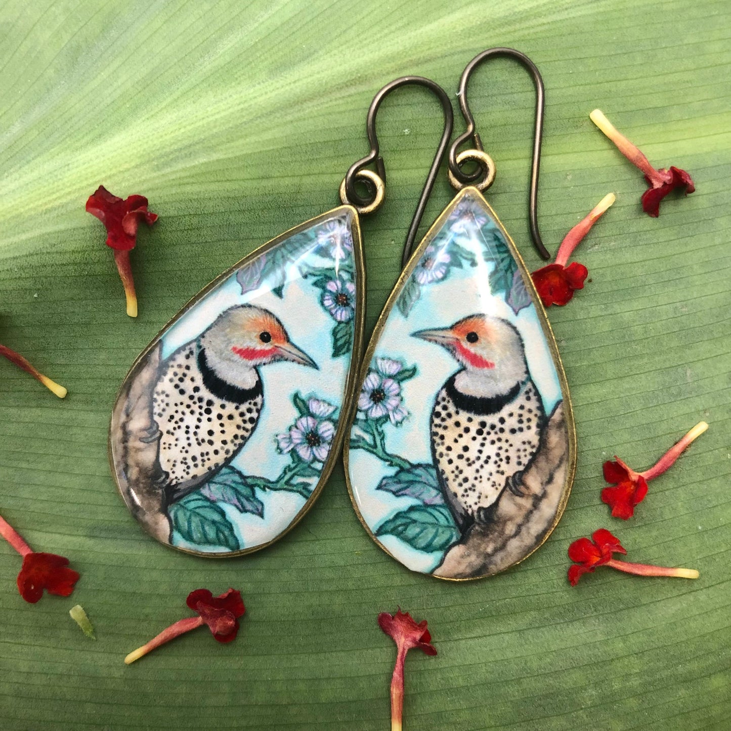 Northern Flicker Earrings