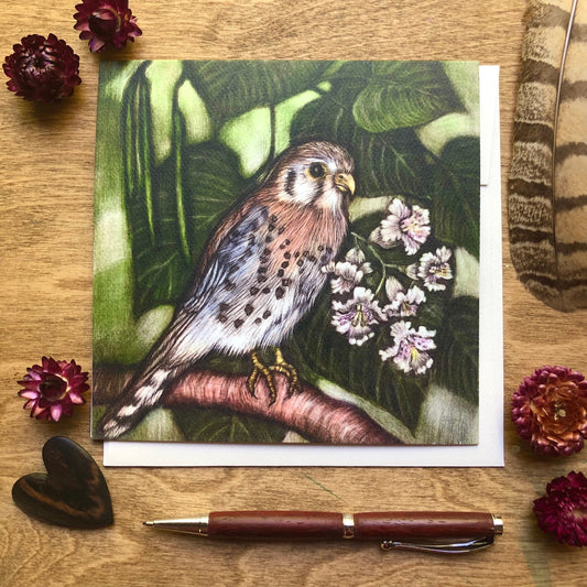 American Kestrel Square Greeting Card