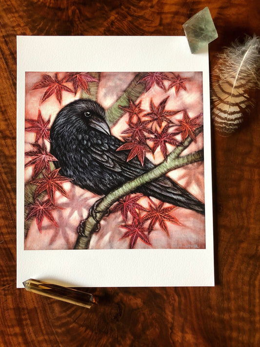 Crow and Japanese Maple Archival Print