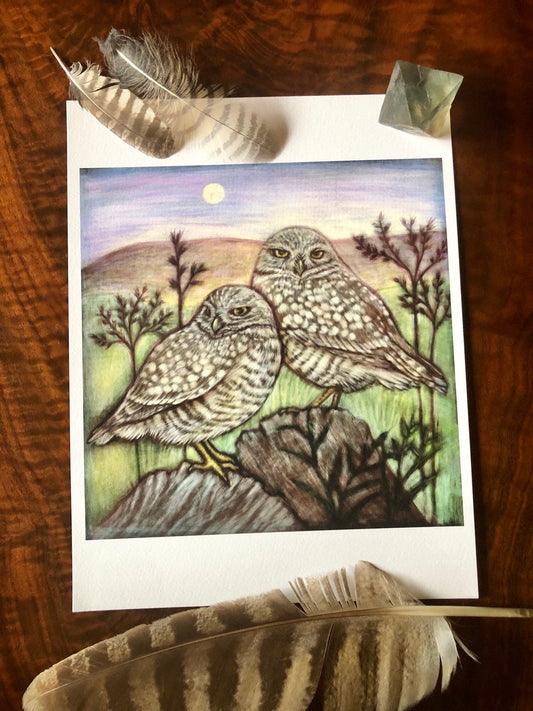 Burrowing Owls Archival Print