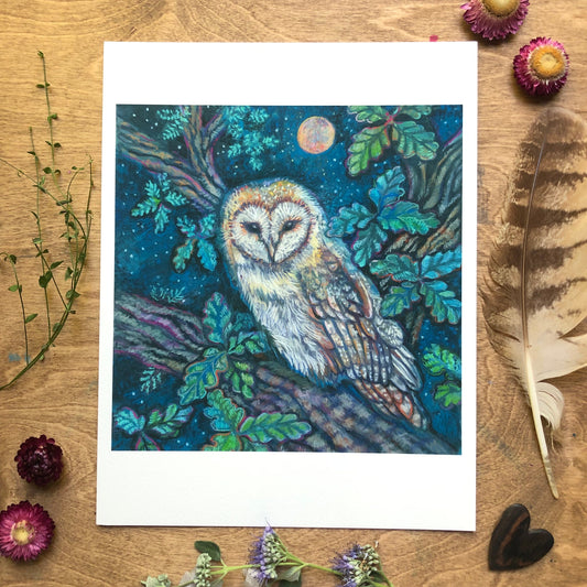 Barn Owl Archival Print