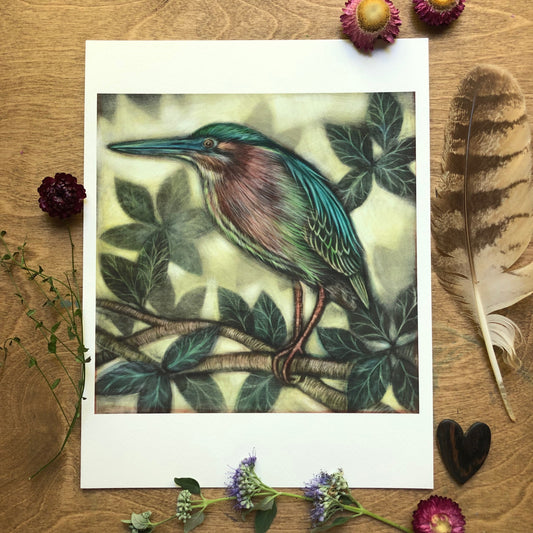 Green Heron Archival Print