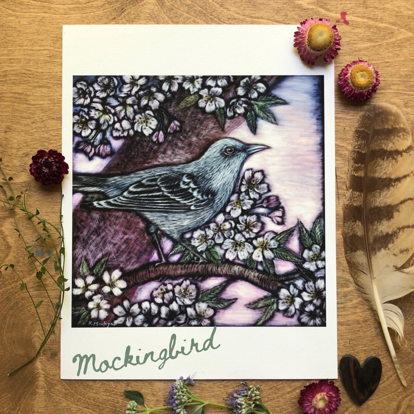 American Kestrel and Catalpa Archival Print